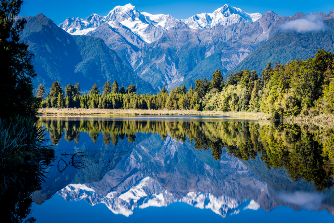 NZ VISA